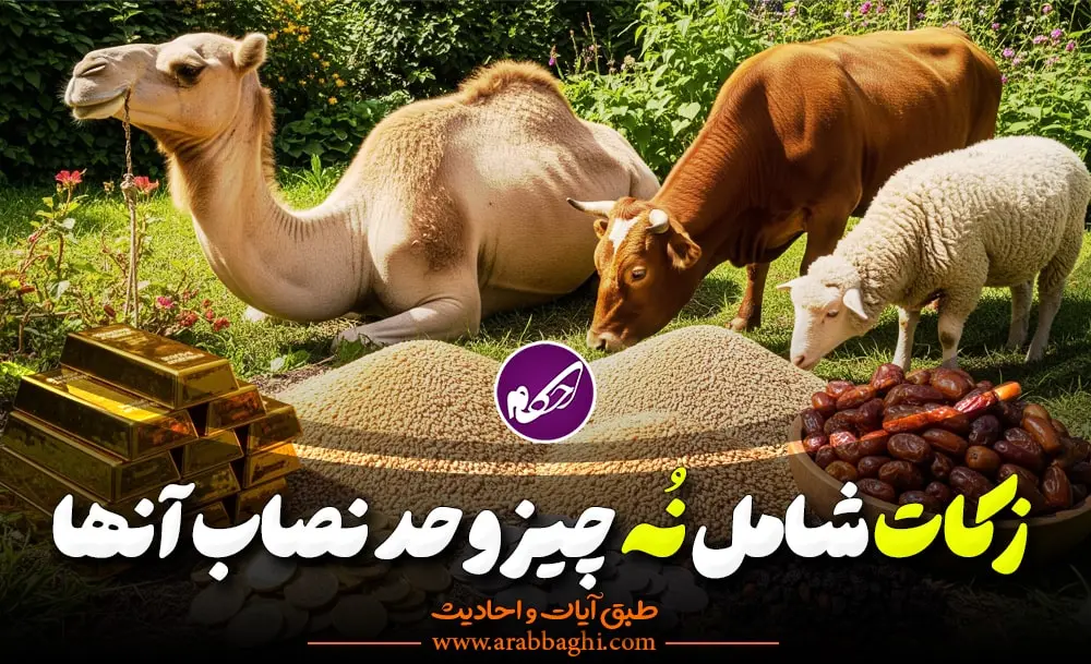 زکات شامل چه چیزهایی است